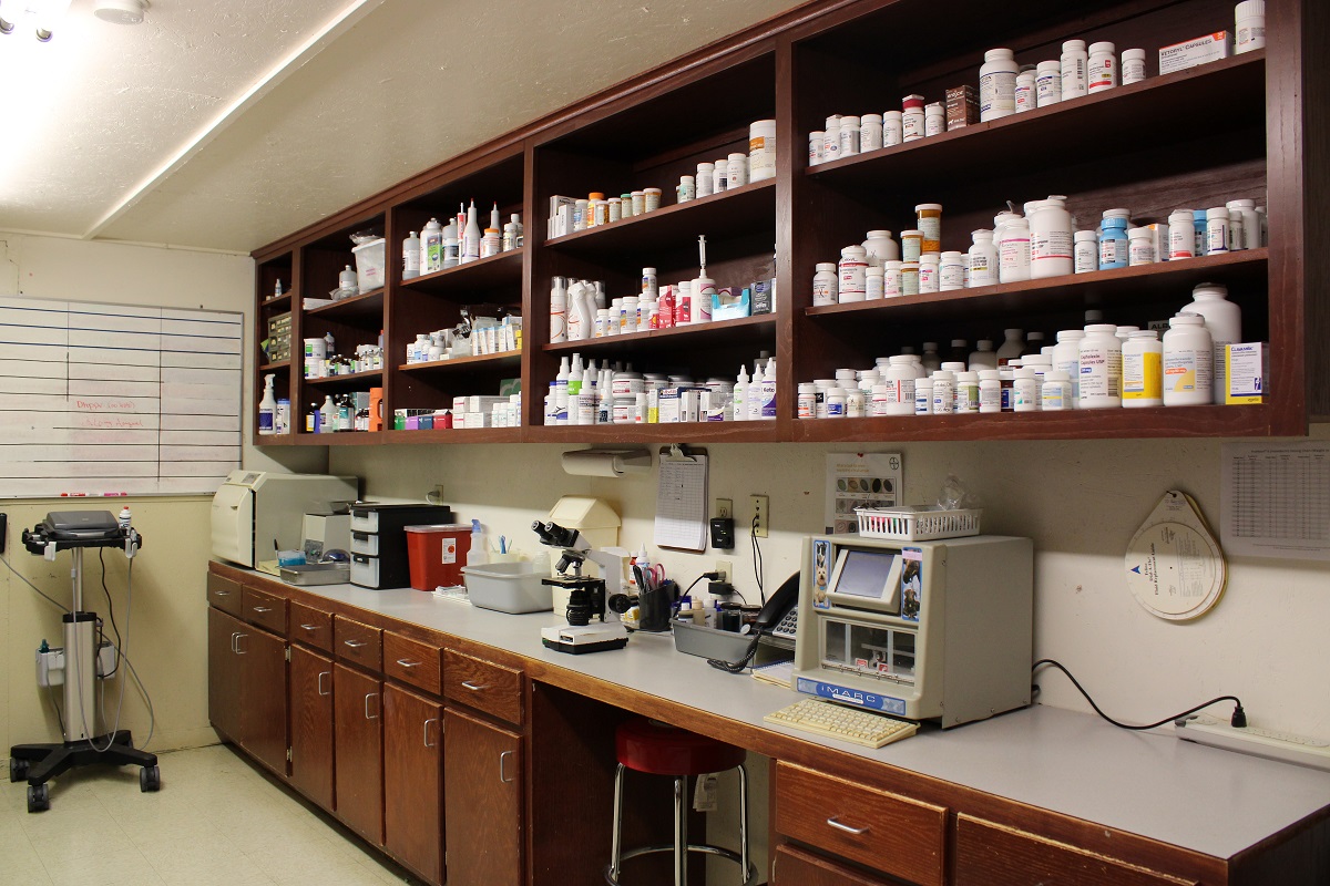 Laboratory and Pharmacy